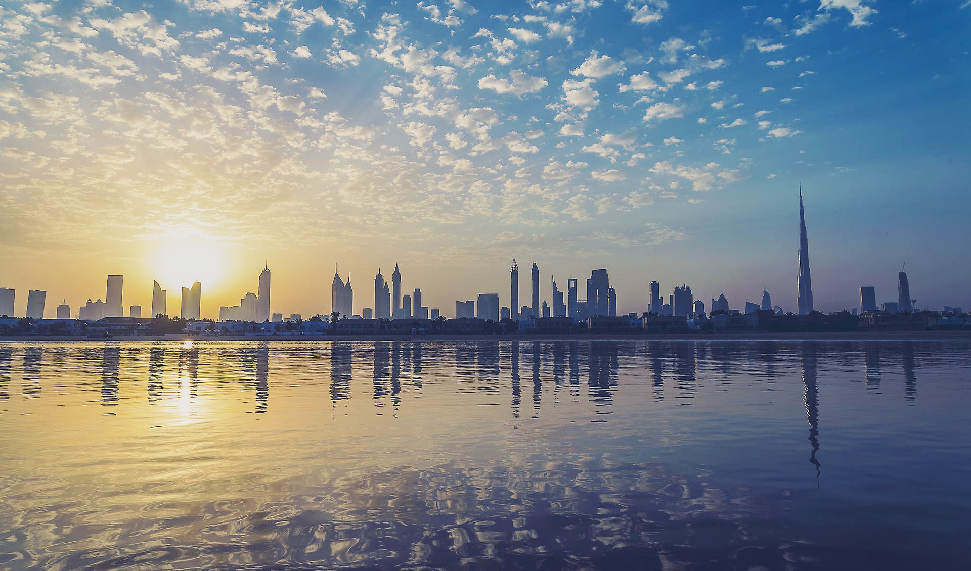 المستشارون العالميون دبي الإمارات العربية المتحدة
