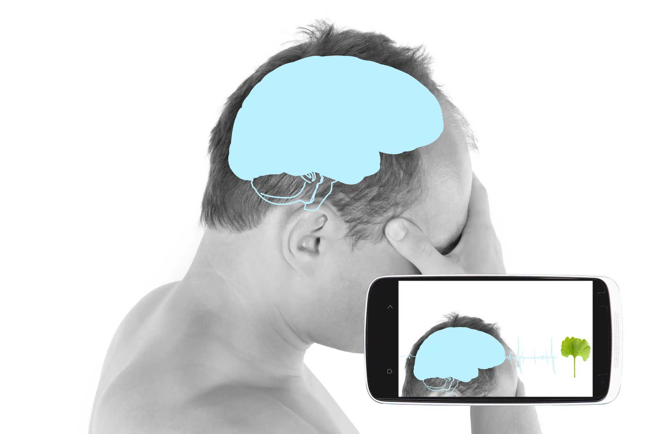 brain
