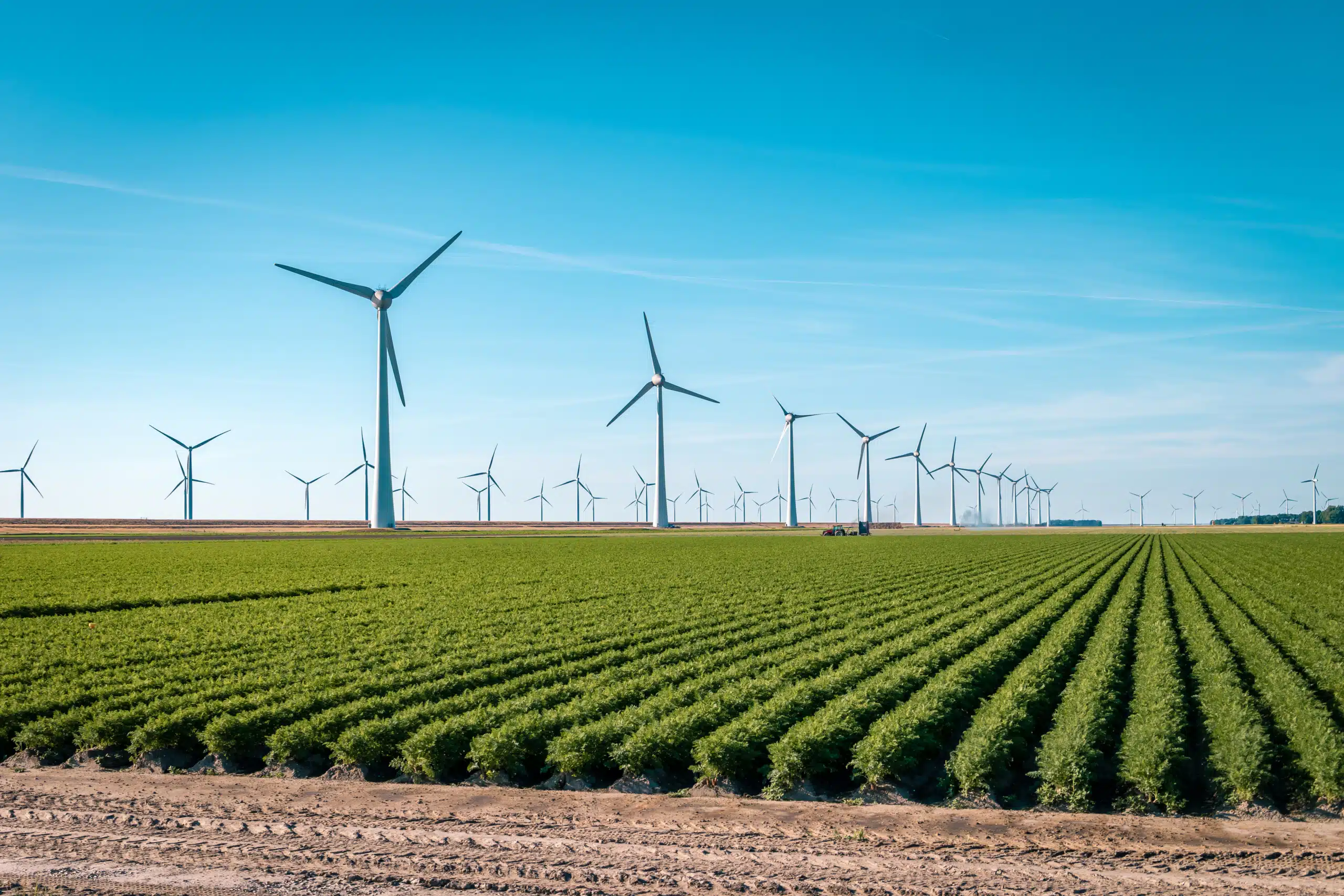 windmill
